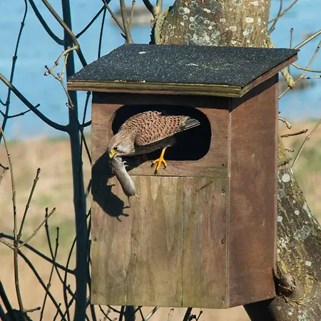 With Panoramic View Of Lammefjorden *