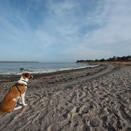 With Panoramic View Of Lammefjorden بيت للعطل *
