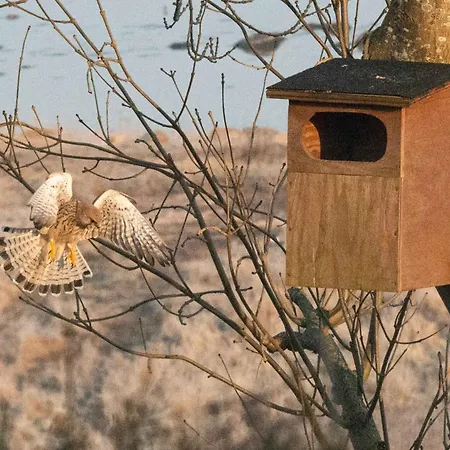 With Panoramic View Of Lammefjorden * Holbæk
